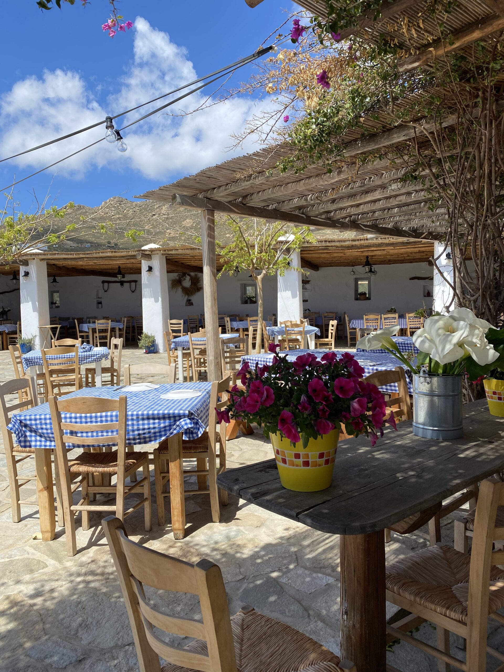 Med Season Destination: Mykonos